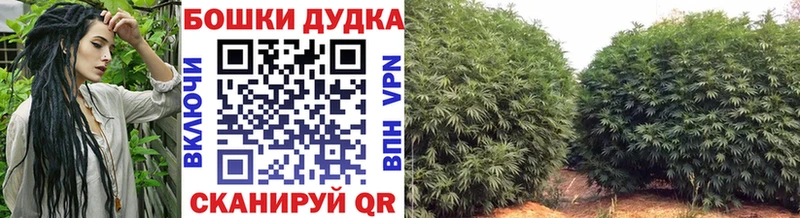 Где найти наркотики Новокубанск Кокаин  Амфетамин  МАРИХУАНА 