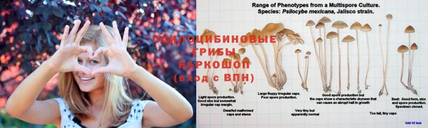 МДПВ Медногорск