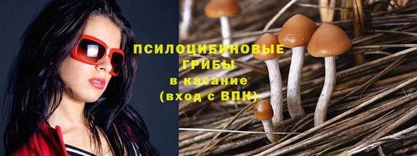 крисы Михайловск