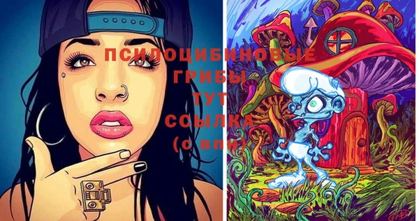 таблы Медвежьегорск
