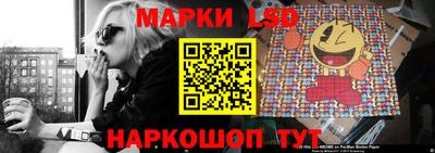 прущие грибы Комсомольск-на-Амуре