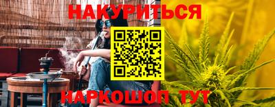 прущие грибы Комсомольск-на-Амуре