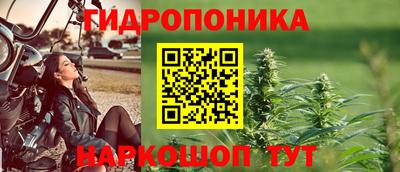 эйфоретик Коммунар
