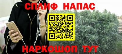 прущие грибы Комсомольск-на-Амуре