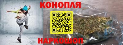 крисы Кулебаки
