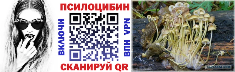 кракен онион  где можно купить наркотик  Новокубанск  Псилоцибиновые грибы мухоморы 